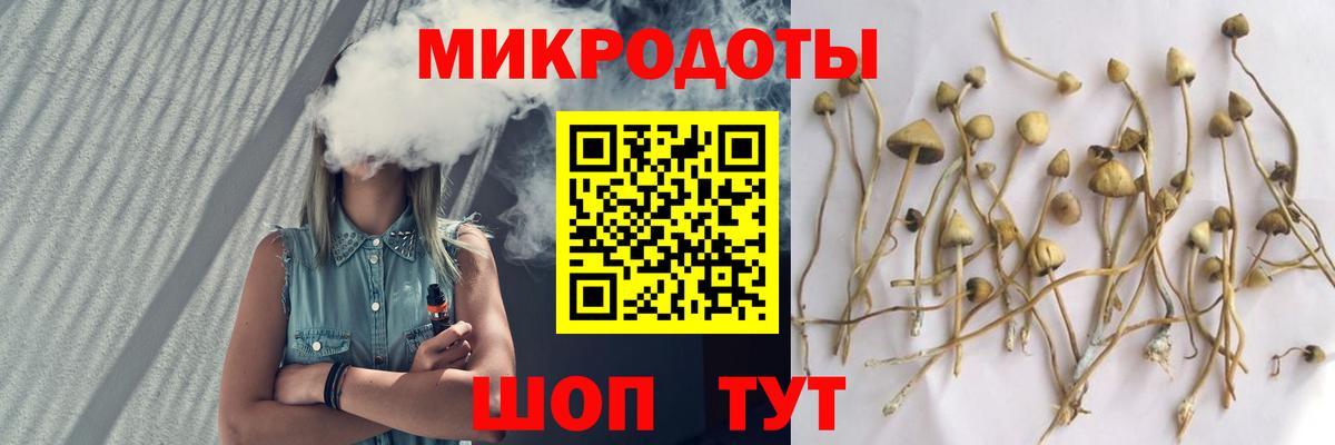 Псилоцибиновые грибы Magic Shrooms Набережные Челны